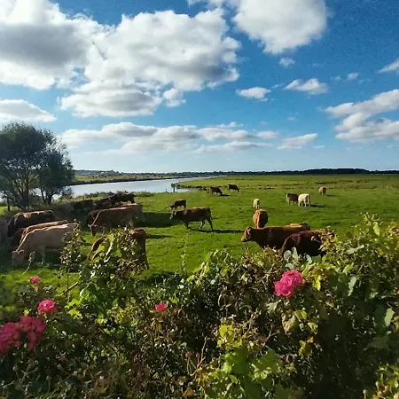 Les Marais De La Douve Liesville-sur-Douve