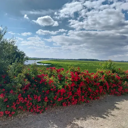 Les Marais De La Douve * Liesville-sur-Douve