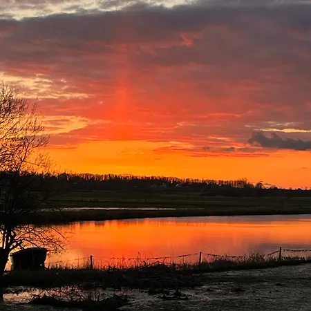 Les Marais De La Douve