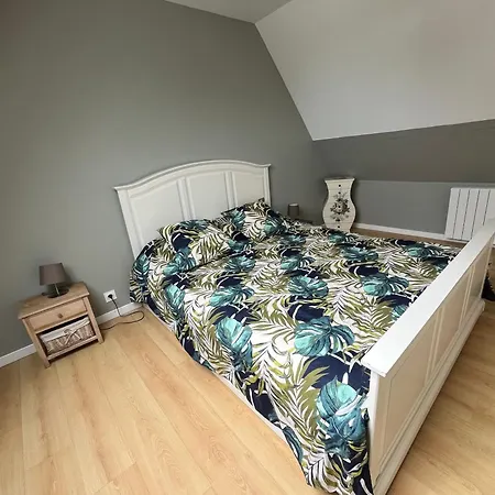 Les Marais De La Douve *