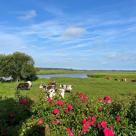 Les Marais De La Douve * Liesville-sur-Douve