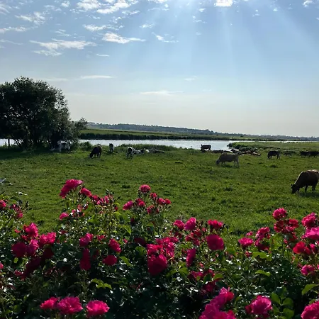 Les Marais De La Douve Liesville-sur-Douve