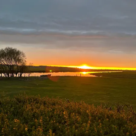 Les Marais De La Douve * Liesville-sur-Douve