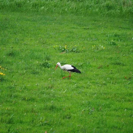 Hébergement de vacances Les Marais De La Douve *
