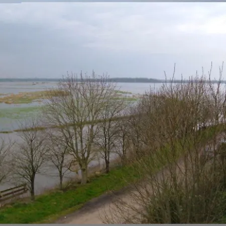 Les Marais De La Douve