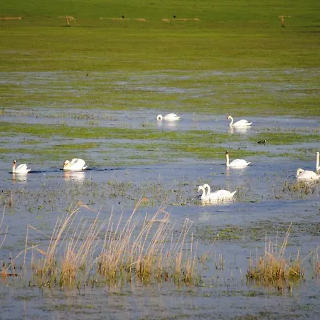 Hébergement de vacances Les Marais De La Douve Liesville-sur-Douve