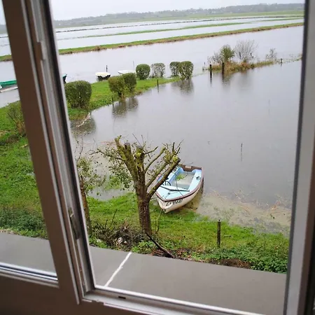 Les Marais De La Douve * Liesville-sur-Douve