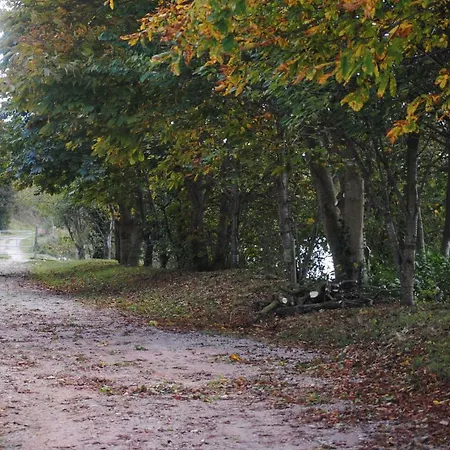 Les Marais De La Douve Feriehus Liesville-sur-Douve