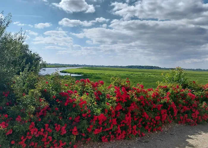 Les Marais De La Douve * Liesville-sur-Douve