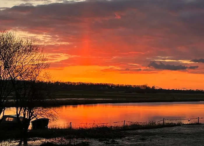 Les Marais De La Douve