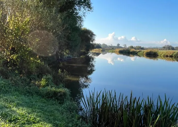Les Marais De La Douve *
