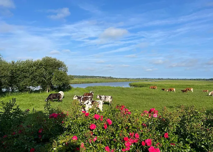 Les Marais De La Douve * Liesville-sur-Douve