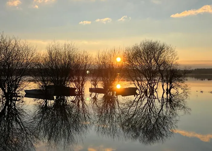 Les Marais De La Douve