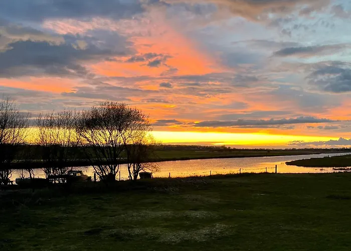 Les Marais De La Douve * Liesville-sur-Douve