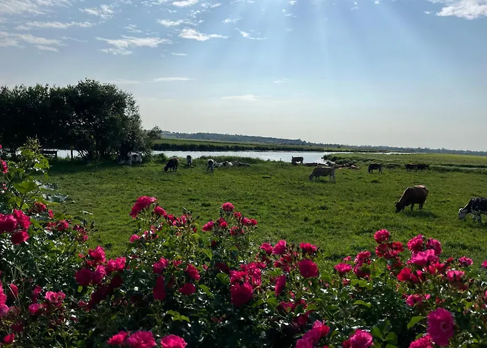 Les Marais De La Douve Liesville-sur-Douve