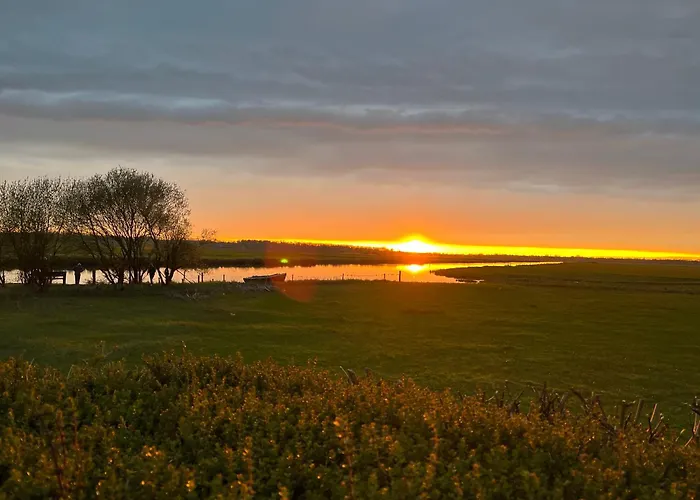 Les Marais De La Douve * Liesville-sur-Douve