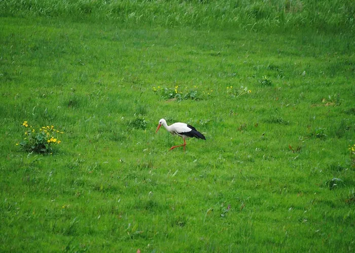 Hébergement de vacances Les Marais De La Douve *
