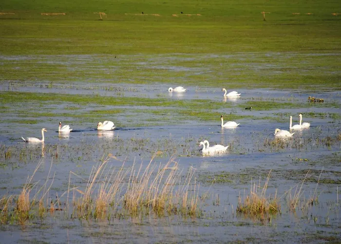 Hébergement de vacances Les Marais De La Douve Liesville-sur-Douve