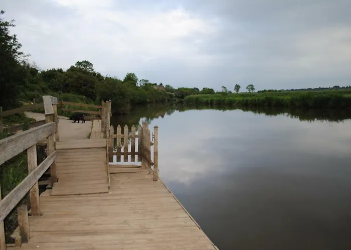 Les Marais De La Douve